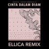 Cinta Dalam Diam (Ellica Remix) - Andezzz&Nadine Emmanuella