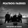 The Sister of Moses - Peatbog Faeries&Heather Macleod&Gina Rae&Helena Kay