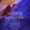 Waiting for Winter (Damir Ludvig Remix) - Sashwat&Damir Ludvig