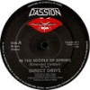 In The Middle Of Spring (Radio Version) - Direct Drive&Mick Ward