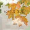 秋叶悲落地（悲伤版） - 孙靓颖