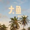 大鱼 (翻奏: 周深) - 兮沐