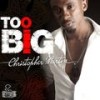 Too Big - Christopher Martin