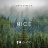 Nice (8D Audio) - Dave Erpson&8D Audio&8D Tunes