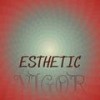 Esthetic Vigor - Theeo Eleud