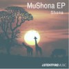 African Heritage (Original Mix) - Shona SA