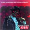 Under The Light (Extended Mix) - Chris Schweizer&Roxanne Emery