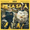 Pe la sala (feat. Frinculescu & ESX) - Macanache&Frinculescu&EsX