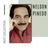 Encanto De Mujer - Nelson Pinedo