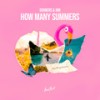 How Many Summers - Diviners&JHN