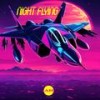 Night Flying - Ambient House