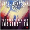 Imagination (Frank Dueffel Remix) - Shaolin Master