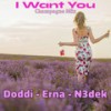 I Want You (Champagne Mix) - Doddi&Erna Hrönn&N3dek