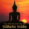 Clocks Go Forward (Ethnic Oriental Vocal Pop Mix) - Kashmir Meditation Group&Indira Singh