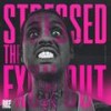 Stressed The Fuxk Out (feat. Rappa) (Explicit) - RBZ&Rappa