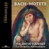 I. Singet dem Herrn ein neues Lied - Valentin Tournet&La Chapelle Harmonique&Johann Sebastian Bach&Anonymous