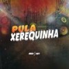 PULA XEREQUINHA (Explicit) - DJ Richard Original&WR Original