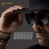 Primavera (Hot Shot 2020) - Shaggy&Sting