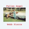 So Used to Loving You - Webb Pierce