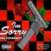 Im Sorry (feat. Top) (Explicit) - jaiden!'s hard drive.