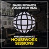 Voices In My Head (Dance Mix) - Daniel Richards