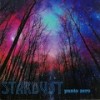 The Place of Reason - Stardust