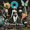 Vinyla Sky (Axton Remix) - Vibe Tribe