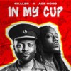 In My Cup - Skales&Ace Hood