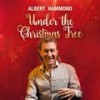 I Wish You a Merry Christmas - Albert Hammond