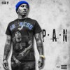 P.A.N (Explicit) - RAY