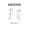 Strawberry (Explicit) - meiosis