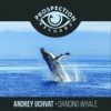 Dancing Whale (Original Mix) - Andrey Uchvat