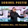 Doamna mea, Jos palaria - sorinel Pustiu