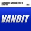 Pluck You (Radio Edit) - Ali Wilson&Chris North