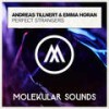 Perfect Strangers (Extended Mix) - Andreas Tillnert&Emma Horan