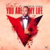 You Are My Life (Explicit) - Willie Taylor&Mr. TalkBox