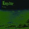 RWR - Kondor