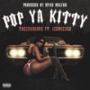 Pop Ya Kitty (Explicit) - Trezdamirra&Ice Mic 360