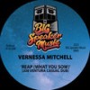 Reap (What You Sow) (Joe Ventura Casual Dub) - Vernessa Mitchell&Joe Ventura