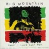 Baby, I Love Your Way (Radio Version) - Big Mountain