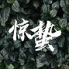 惊蛰 - 范辰溪&兮沐