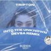 Into The Unknown (DEVSA Remix) - Tripton