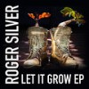 Let It Grow (Amir Telem Remix) - Amir Telem&Roger Silver