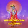 Vrindavan Jaungi - Hemant Rohilla