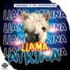 Llama a trina Dembow Remix - PV Aparataje&Yezkick