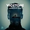 Voices In My Head (Explicit) - Vicetone&Chelsea Collins