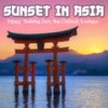 Voyage to India(Buddha Sunset Del Mar Vocal Mix) (Remix) - Ragi