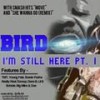 That's Yo Bitch Huh (Explicit) - Bird100