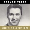 A rosa rosa - Arturo Testa