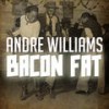 Tossin' & Turnin' - Andre Williams